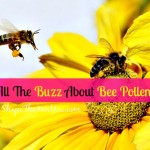 All The Buzz On Bee Pollen